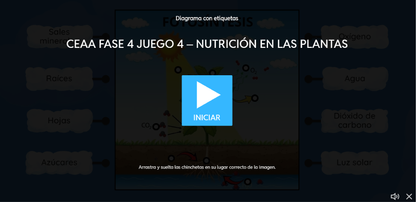 4 JUEGOS INTERACTIVOS POR CONTENIDO PARA TUS CLASES - Fase 4 - SABERES Y PENSAMIENTO CIENTÍFICO - Contenido 4