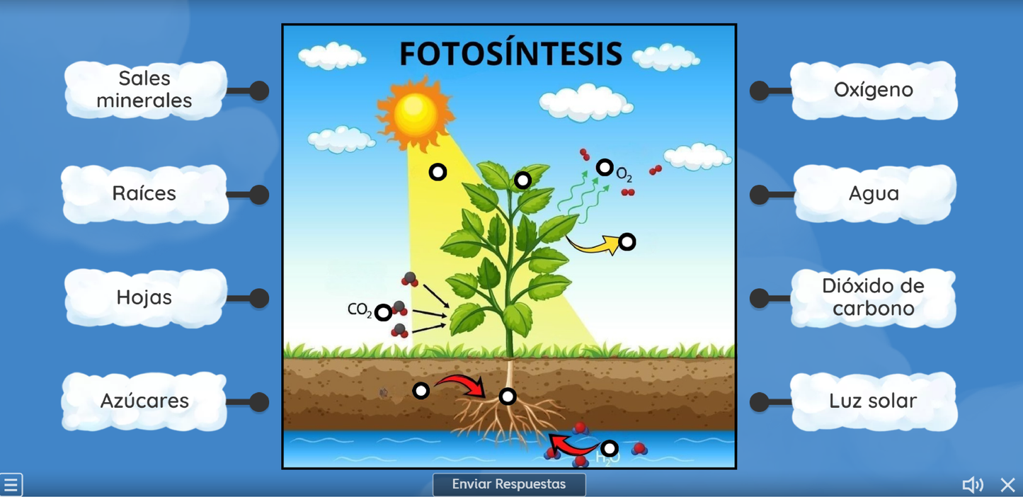 4 JUEGOS INTERACTIVOS POR CONTENIDO PARA TUS CLASES - Fase 4 - SABERES Y PENSAMIENTO CIENTÍFICO - Contenido 4