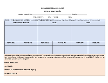 Formato Programa Analítico (Editable en Word)