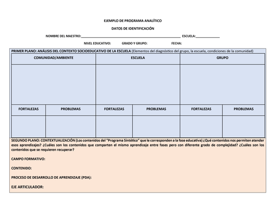 Formato Programa Analítico (Editable en Word)