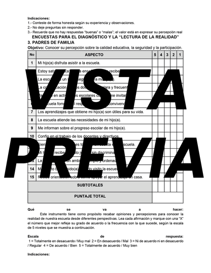 Encuestas para la Lectura de la Realidad (Editable en Word)