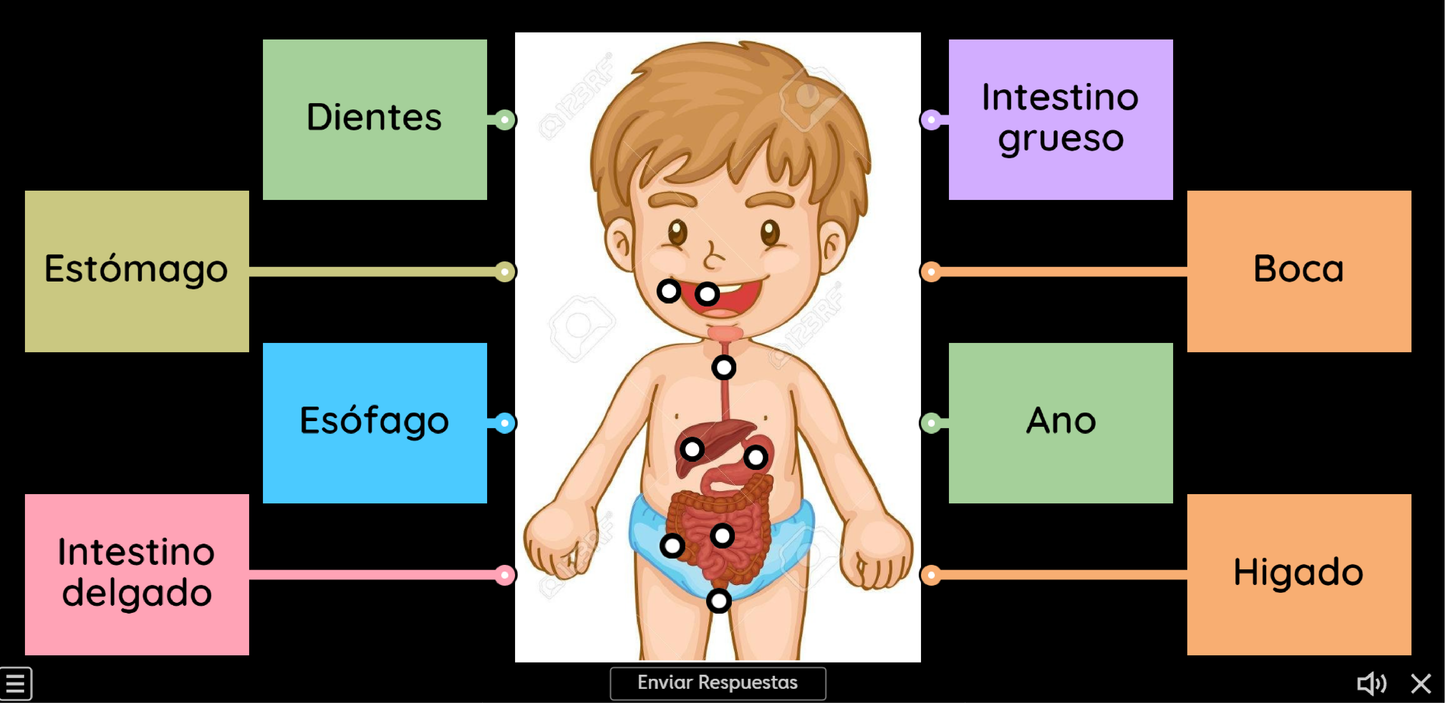 4 JUEGOS INTERACTIVOS POR CONTENIDO PARA TUS CLASES - Fase 4 - SABERES Y PENSAMIENTO CIENTÍFICO - Contenido 1