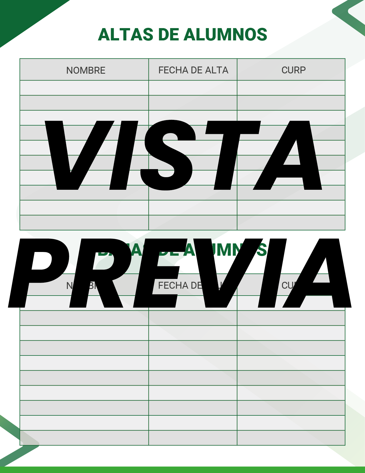 Agenda Formal Verde MAESTRO Preescolar