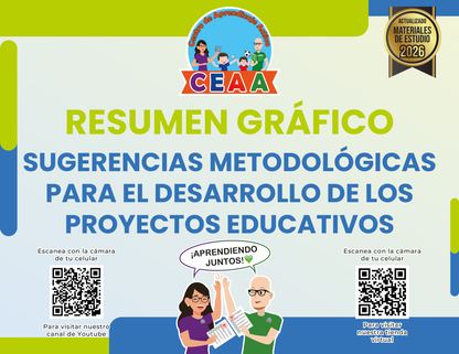 Resumen Gráfico Sugerencias Metodológicas para el Desarrollo de los Proyectos Educativos