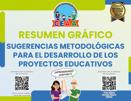 Resumen Gráfico Sugerencias Metodológicas para el Desarrollo de los Proyectos Educativos