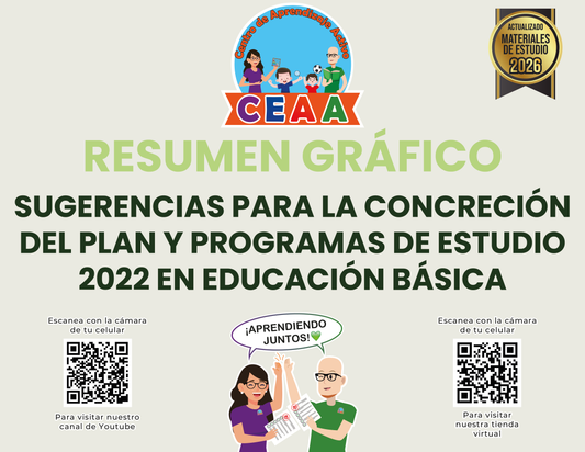 Resumen Gráfico Sugerencias para la Concreción del Plan y Programas de Estudio 2022 en Educación Básica