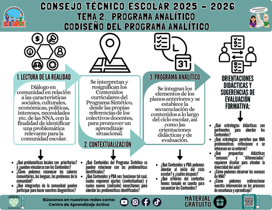 Infografía: TEMA 2: PROGRAMA ANALÍTICO - CODISEÑO DEL PROGRAMA ANALÍTICO en PDF