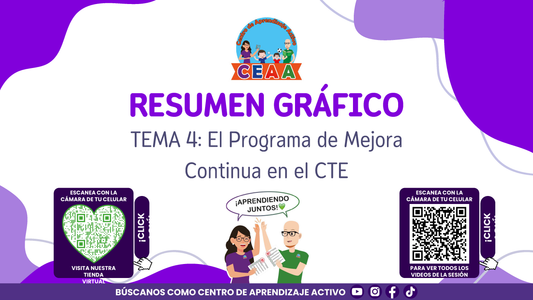 RESUMEN GRÁFICO TEMA 4: EL PROGRAMA DE MEJORA CONTINUA EN EL CTE (Editable en PowerPoint)