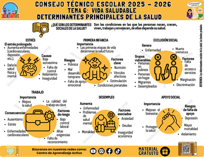 Infografía: TEMA 6: VIDA SALUDABLE - DETERMINANTES PRINCIPALES DE LA SALUD en PDF