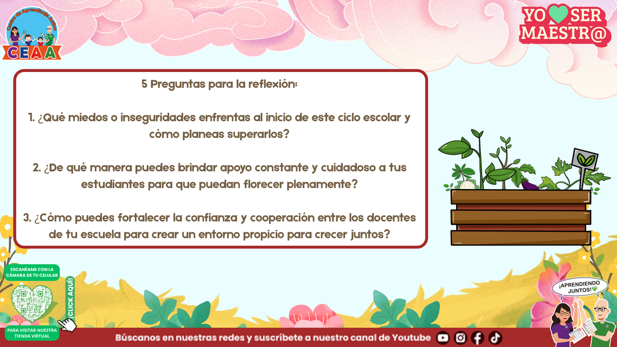 Preguntas sobre acompañamiento, confianza y cooperación entre docentes.
