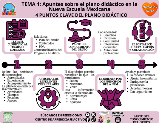 Infografía CEAA sobre el plano didáctico, con cinco puntos en una línea horizontal, ilustraciones moradas y encabezado de Educación Básica.